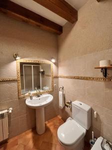 bagno con lavandino, servizi igienici e specchio di Casa Rural Abuelo Regino a Segovia