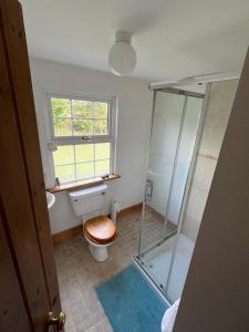 a bathroom with a shower and a toilet and a window at Seaview House Reenard South in Cahersiveen