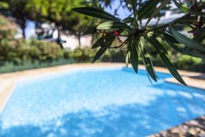 Basen w obiekcie Villegiales Tee2 - En Rez de jardin dans une résidence avec piscine MAE-1154 lub w pobliżu