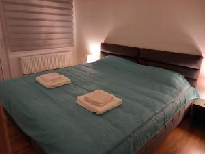 Katil atau katil-katil dalam bilik di Apartmani Ćosić