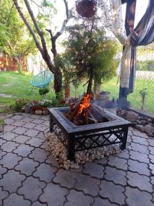Zahrada ubytování Apartmán Eva