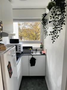 Kuchyň nebo kuchyňský kout v ubytování Jules Verne STRASBOURG + 9 fotografií