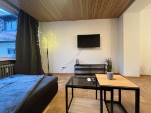 uma sala de estar com uma cama, uma mesa e uma televisão em Simplex Apartments Am Schwabentor em Friburgo em Brisgóvia