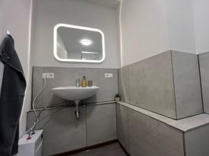 ein kleines Bad mit einem Waschbecken und einem Fenster in der Unterkunft Simplex Apartments Am Schwabentor in Freiburg im Breisgau