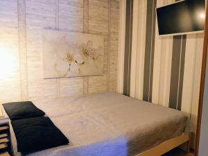 TV a/nebo společenská místnost v ubytování Viihtyisä huoneisto Tahkolla