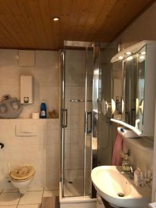 La salle de bains est pourvue d'une douche, de toilettes et d'un lavabo. dans l'établissement Unter den Weinbergen, à Treis-Karden
