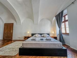 1 dormitorio con 1 cama con 2 almohadas en Old Town apt. A/C and parking, en Banská Bystrica