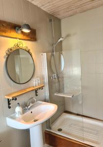 a bathroom with a sink and a shower and a mirror at Bed and Breakfast Les Airelles in Val-des-Prés
