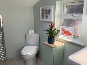 a bathroom with a toilet and a plant on a table at Time House Cottage in Huby