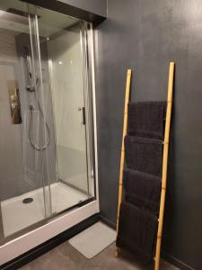 einen Handtuchhalter im Bad mit Dusche in der Unterkunft Appartement rénové in Leffrinckoucke