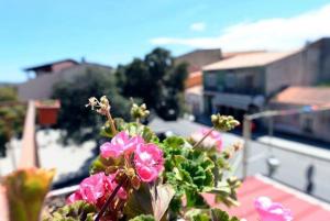 Fotografie z fotogalerie ubytování B&B La casa di Dorothy v destinaci Telti