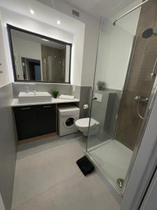 W łazience znajduje się umywalka, toaleta i prysznic. w obiekcie Apartament Katowicka w Poznaniu