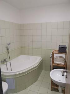 a bathroom with a bath tub and a sink at Apík Hartmanice in Hartmanice
