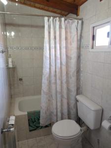 a bathroom with a toilet and a shower curtain at La Escondida in Ushuaia