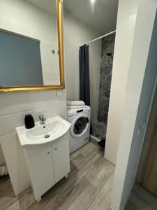 łazienka z umywalką i pralką w obiekcie Apartament Katowicka w Poznaniu