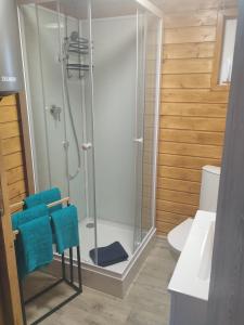 a bathroom with a shower with blue towels at Winiec Mobile Home in Miłomłyn