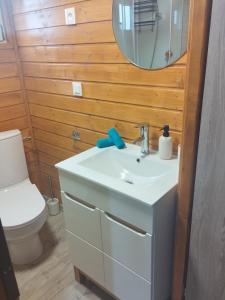 a bathroom with a sink and a mirror and a toilet at Winiec Mobile Home in Miłomłyn