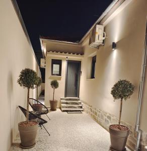 沃洛斯的住宿－Volos Guesthouse Konstantina，门前有三棵盆栽树的走廊