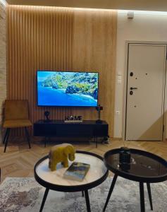 a living room with a tv and a bear on a table at Volos Guesthouse Konstantina in Volos