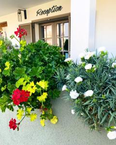 a bunch of flowers in front of a building at T H E BERLIN Studios and Suites in Nea Vrasna