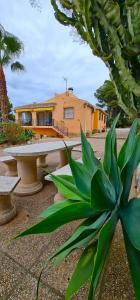 Κήπος έξω από το Villa los Agaves Javea piscina y barbacoa