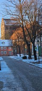 a snow covered street with trees and a building at Ferienhaus in der historischen Altstadt von Angermünde in Angermünde