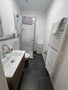 ein Bad mit einem Waschbecken, einem WC und einer Dusche in der Unterkunft Modernes Wohnstudio mit Balkon im Herzen von Bad Rothenfelde in Bad Rothenfelde