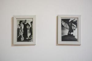Fotografie z fotogalerie ubytování White Arrow Apartment v destinaci Bajina Bašta