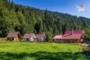 a group of houses in a field next to a forest at Cabana Valea Stanciului Stefan in Răchiţele