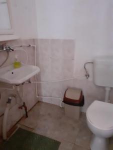 a bathroom with a white toilet and a sink at Cabana Valea Stanciului Stefan in Răchiţele