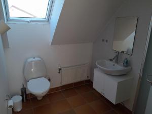 bagno con servizi igienici e lavandino di Billund countryside Appartement a Give