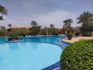 a large swimming pool in a resort with palm trees at Palmeraie Village in Marrakech