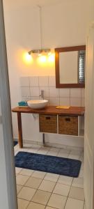 a bathroom with a sink and a mirror at Paradies Caraïbes I in Les Abymes