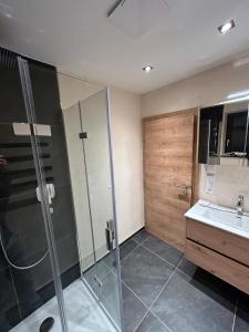 een badkamer met een douche en een wastafel bij Ferienwohnung Felben in Mittersill