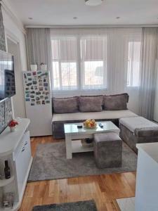 een woonkamer met een bank en een tafel bij Apartman Gaga in Donji Komren