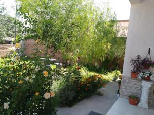 a garden with flowers and a tree at Casa en los Valles in Cafayate