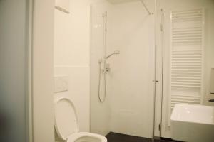 un bagno con doccia, WC e lavandino di De la vie Reutlingen - Altstadt Apartment an Stadthalle & am Marktplatz a Reutlingen