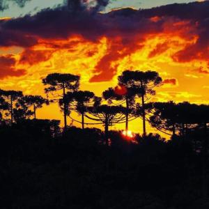 Φωτογραφία από το άλμπουμ του Hibisco Home Hotel σε Urubici