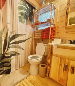 a bathroom with a toilet and a sink at Charming Cabin near Ark Encounter with Loft in Dry Ridge