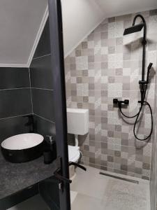 ein Bad mit einer Dusche und einem WC. in der Unterkunft Vibe House Madisson in Braşov
