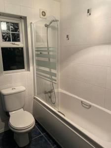 a bathroom with a toilet and a shower at Walnut Apartment Larne in Larne