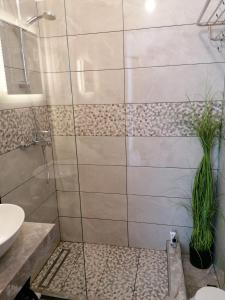 een badkamer met een douche, een toilet en een wastafel bij Fofi Apartments in Symi