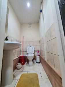 a small bathroom with a toilet and a sink at Ideal Apartment close to the Hustle and Bustle in Ashton under Lyne