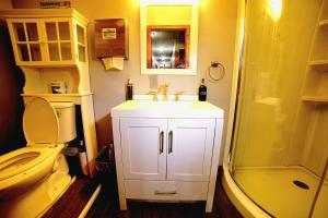 a bathroom with a toilet and a sink and a shower at ShaligoHomes in Anchorage