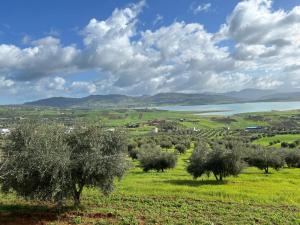 Un paisaje natural cerca del departamento 19 fotos más