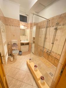 Ένα μπάνιο στο Chocolate in the hearth of Budapest