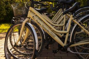 una fila di biciclette parcheggiate una accanto all'altra di Podere Turicchio a Orbetello