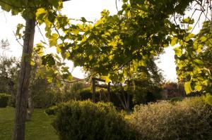 Giardino di Podere Turicchio