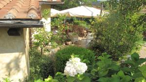 Giardino di Podere Turicchio