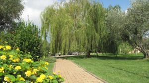 Giardino di Podere Turicchio